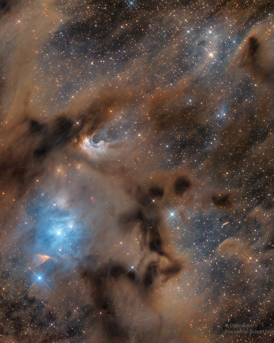 Chamaeleon I Molecular Cloud