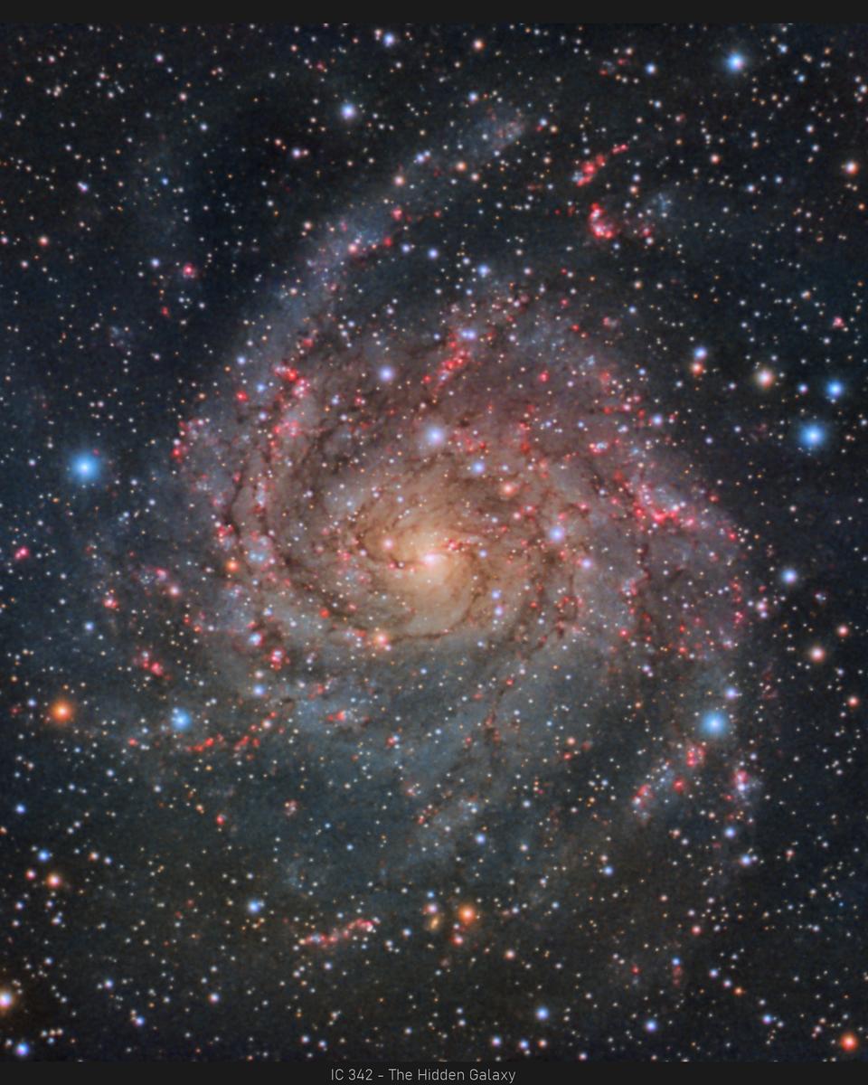 IC 342: The Hidden Galaxy in Camelopardalis