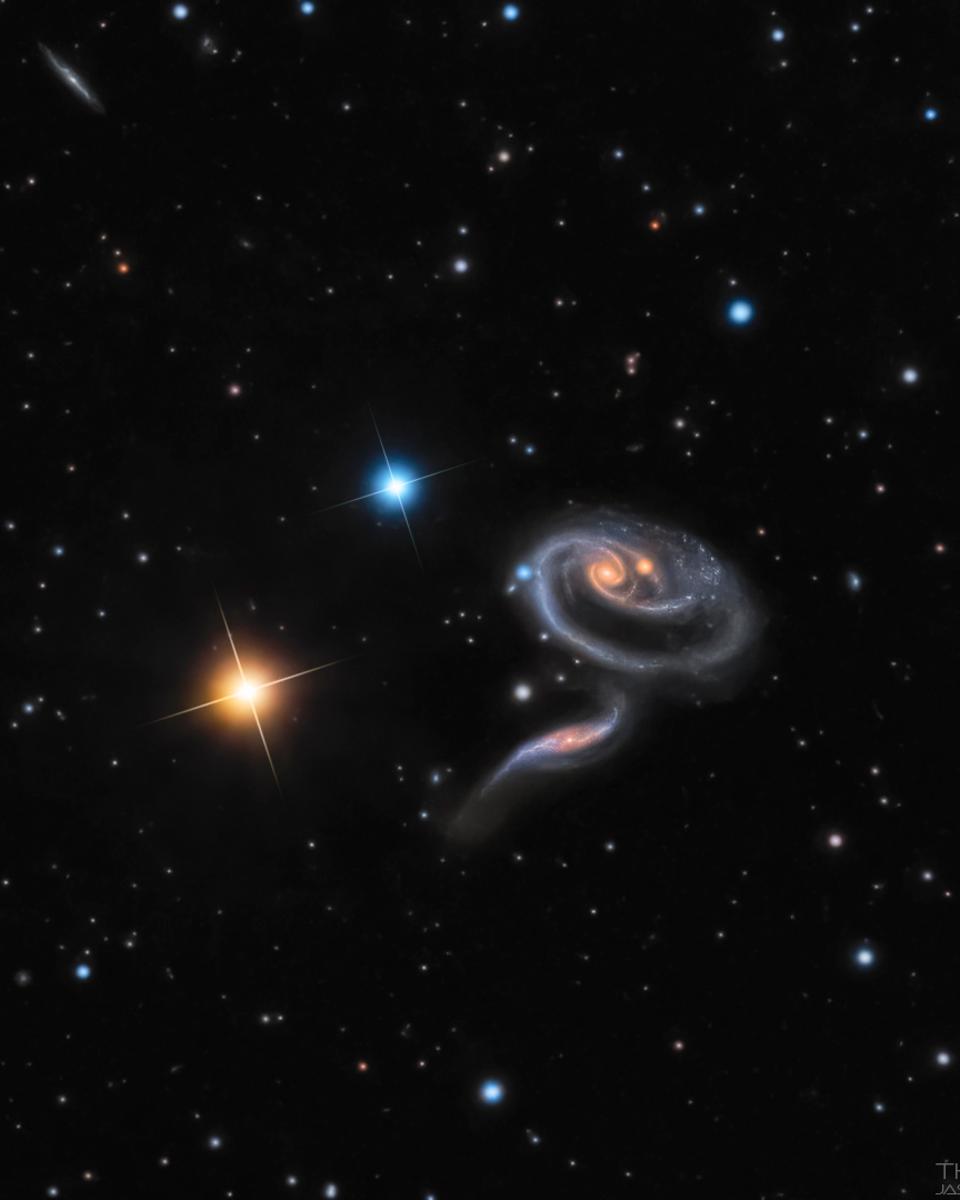 Peculiar Galaxies of Arp 273
