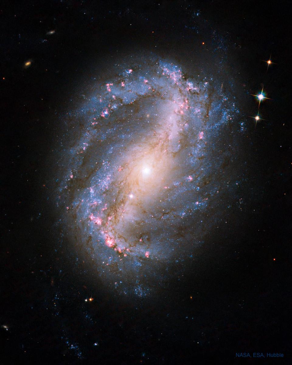 Barred Spiral Galaxy NGC 6217