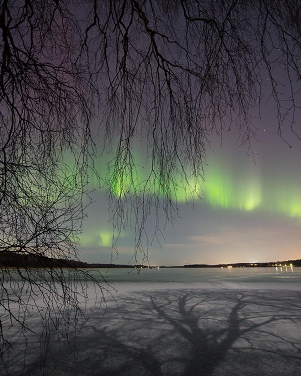 Aurora by Moonlight