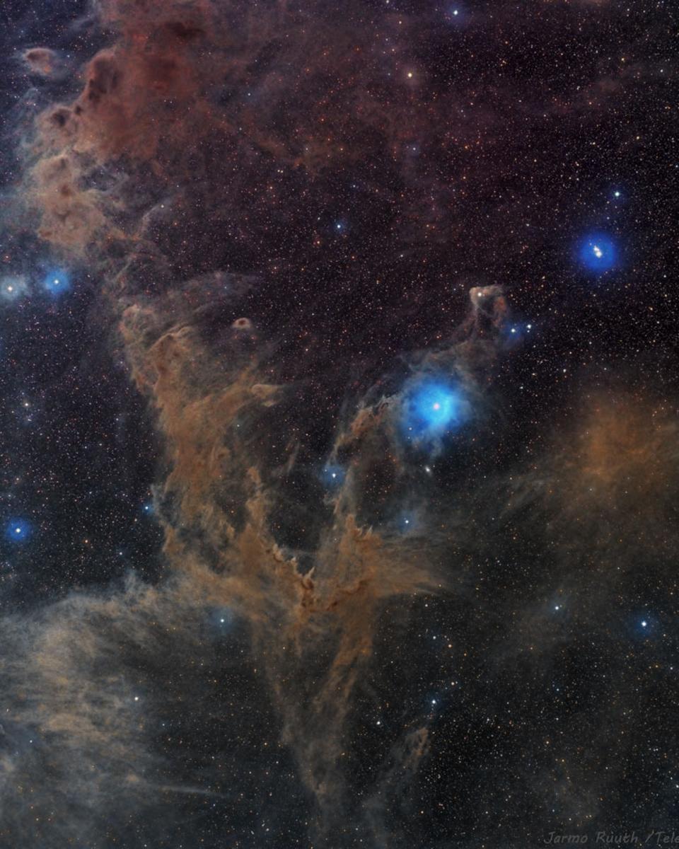 Chamaeleon Dark Nebulas