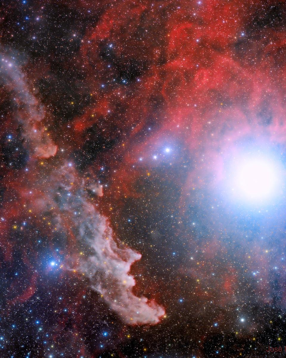 Rigel and the Witch Head Nebula
