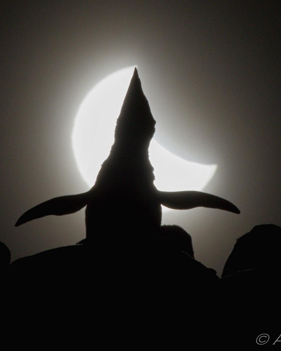 Ecstatic Solar Eclipse