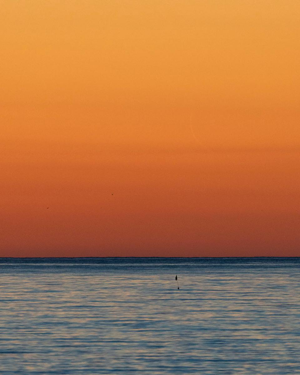 Find the New Moon