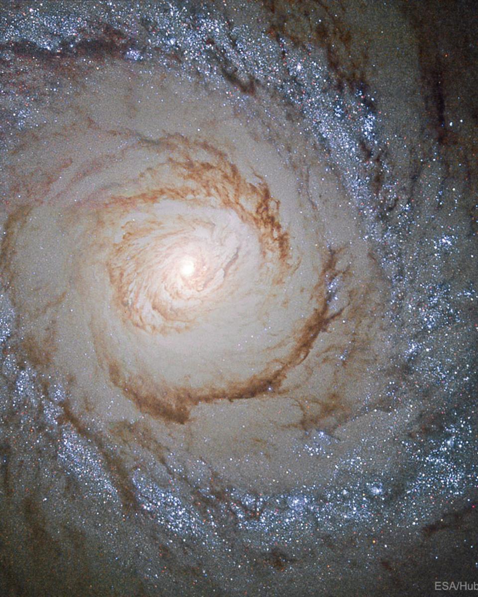 Starburst Galaxy M94 from Hubble