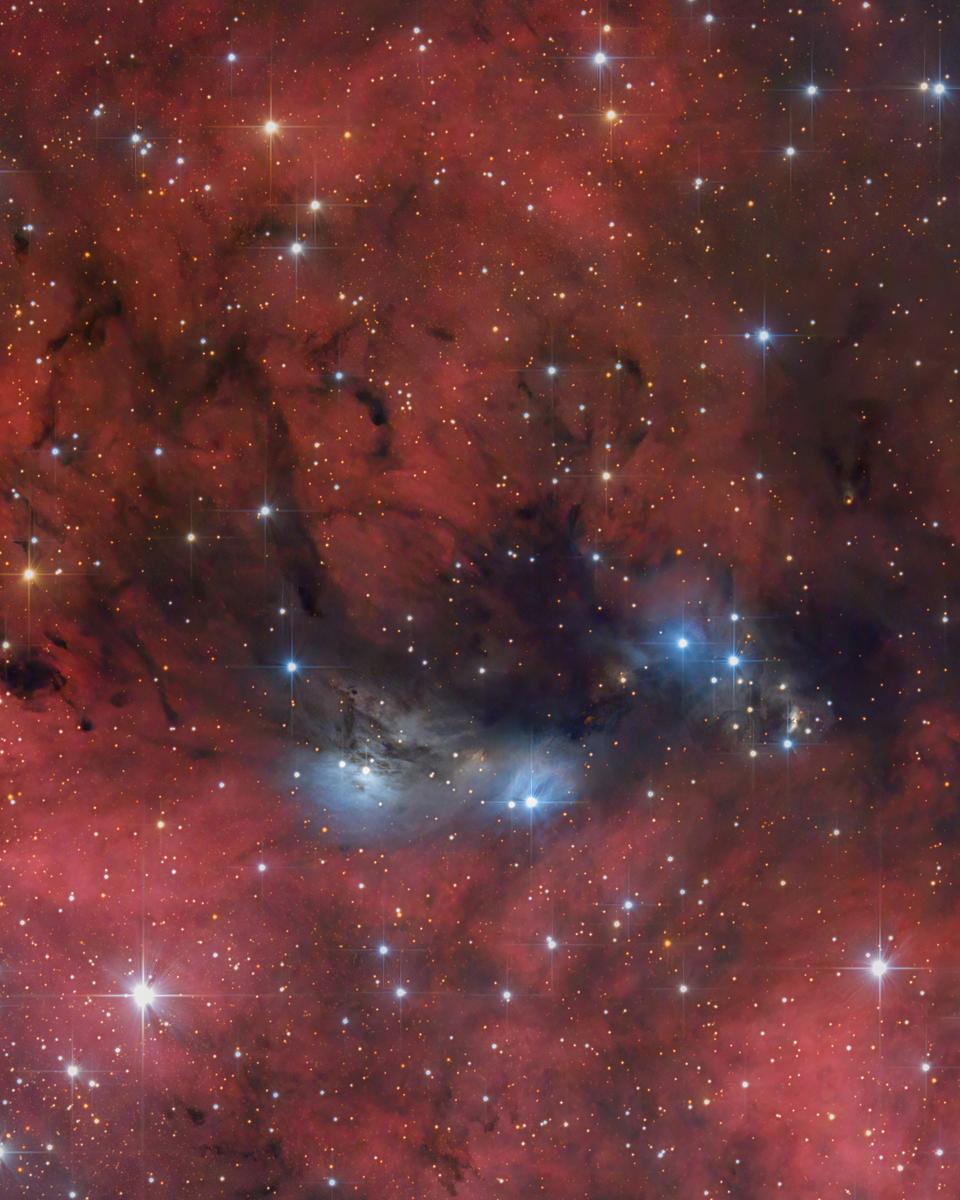 The NGC 6914 Complex