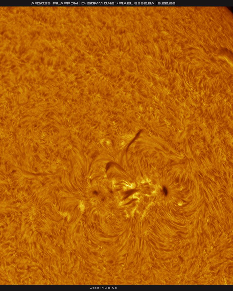 Filaprom on the Western Limb