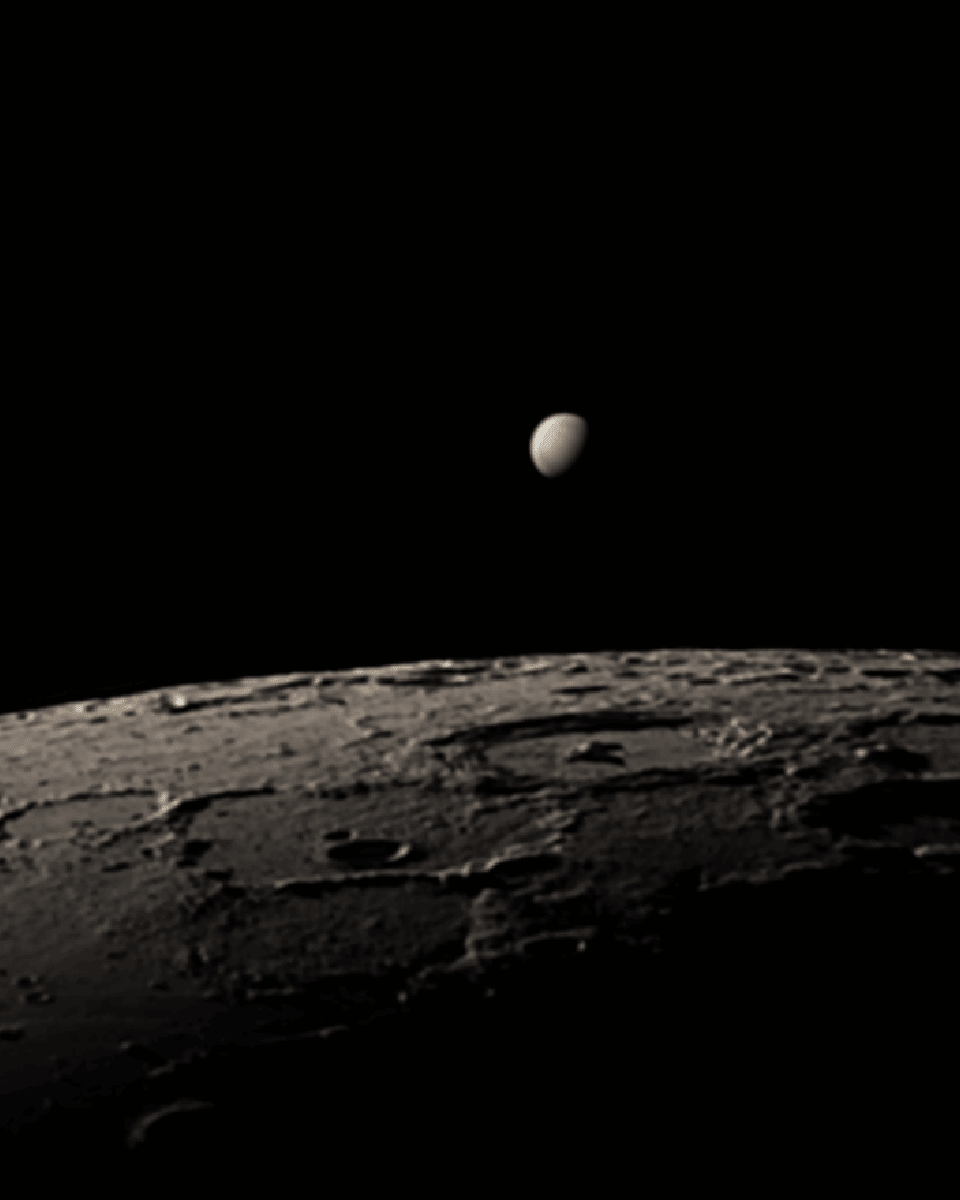 Lunar Occultation of Venus