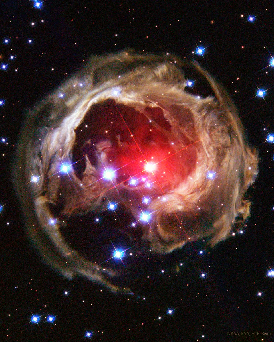 Light Echoes from V838 Mon