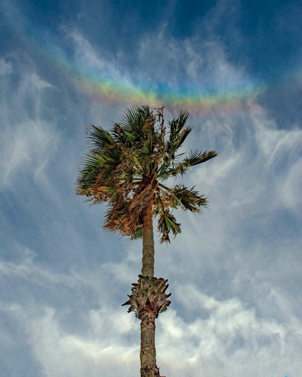 When Rainbows Smile