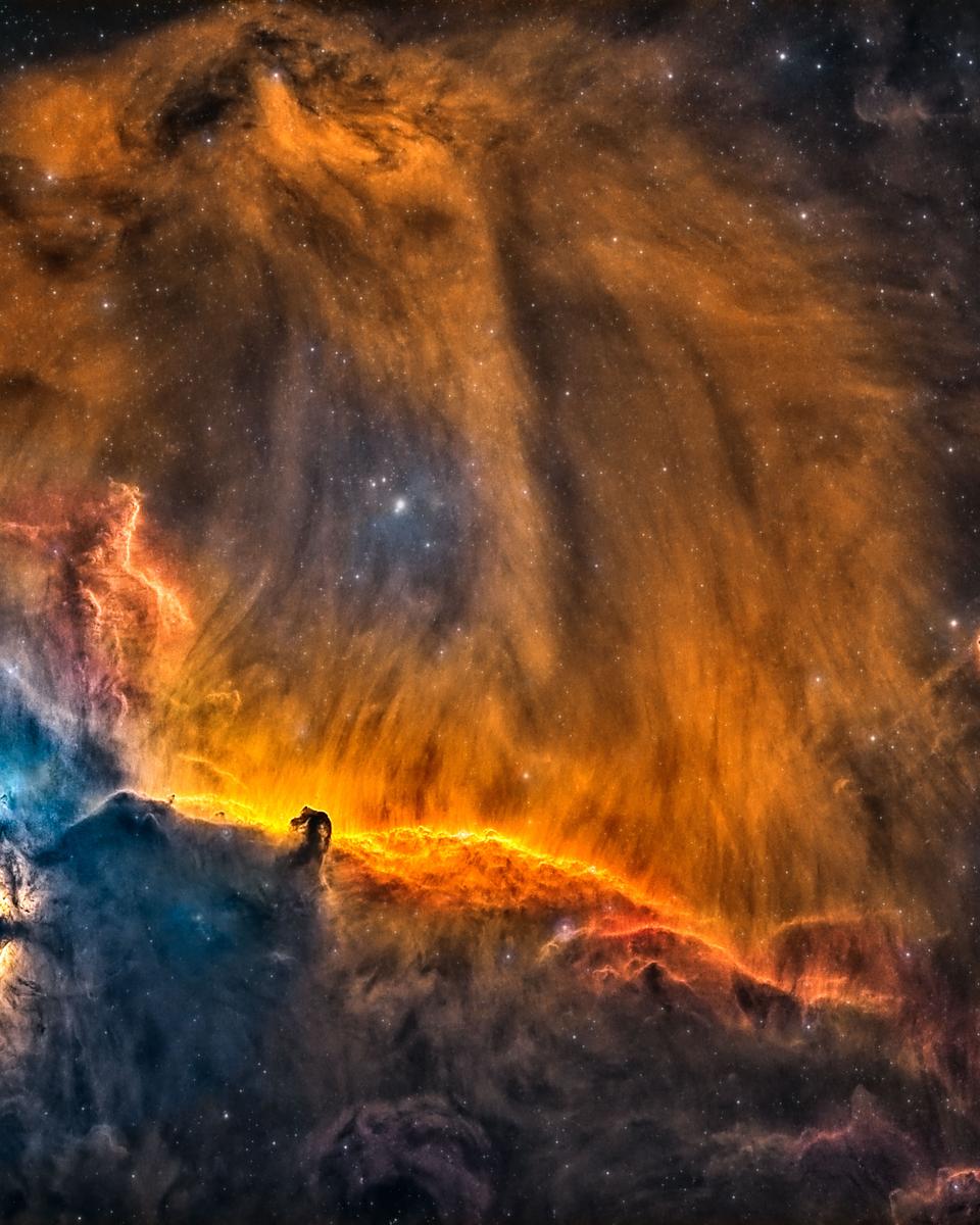A Lion in Orion