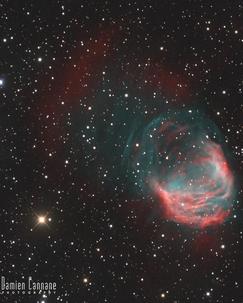 The Medusa Nebula