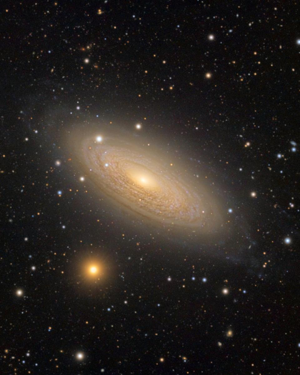 Spiral Galaxy NGC 2841