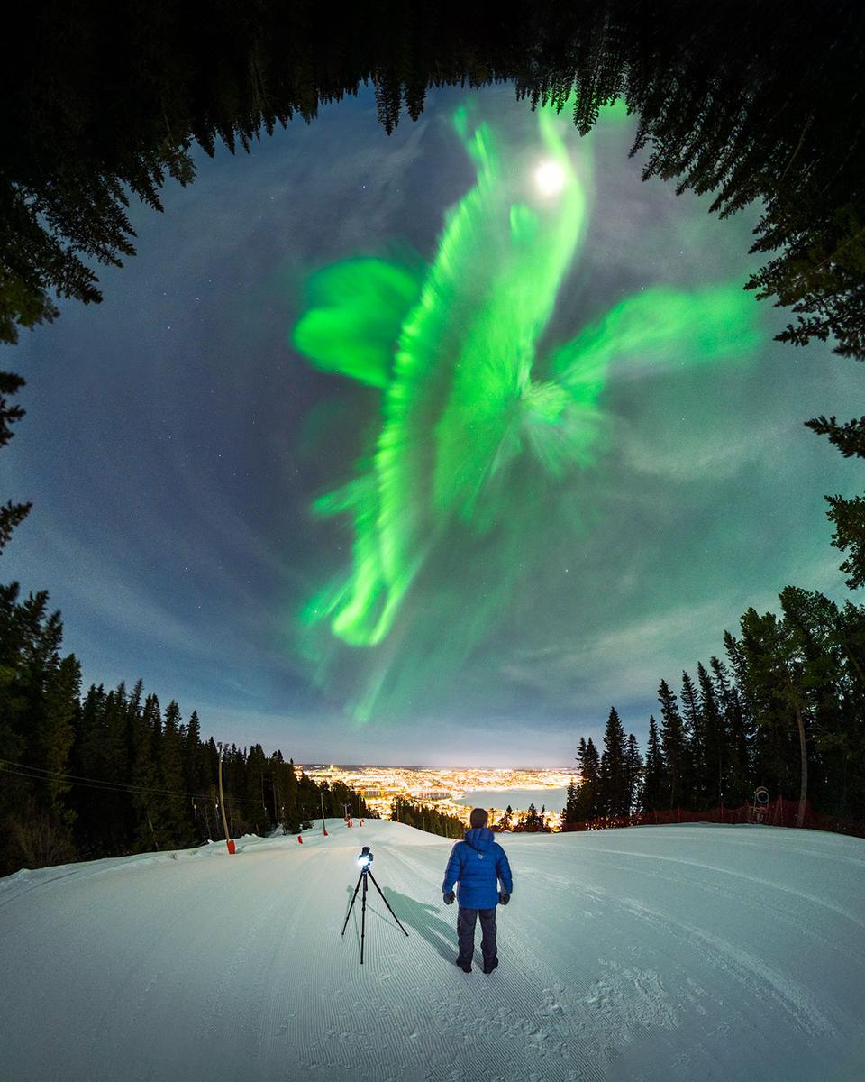 A Whale of an Aurora over Swedish Forest