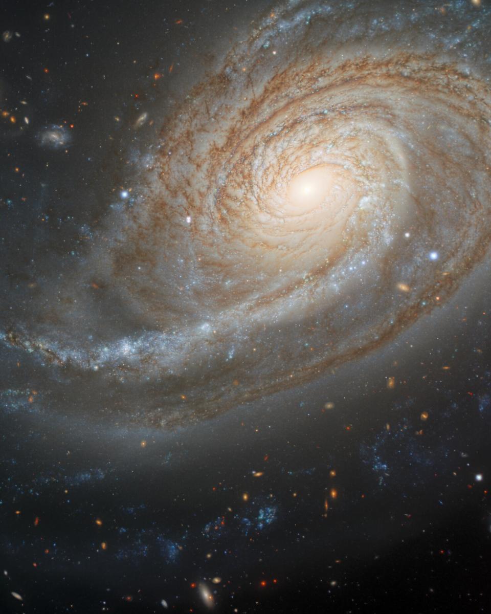 Arp 78: Peculiar Galaxy in Aries