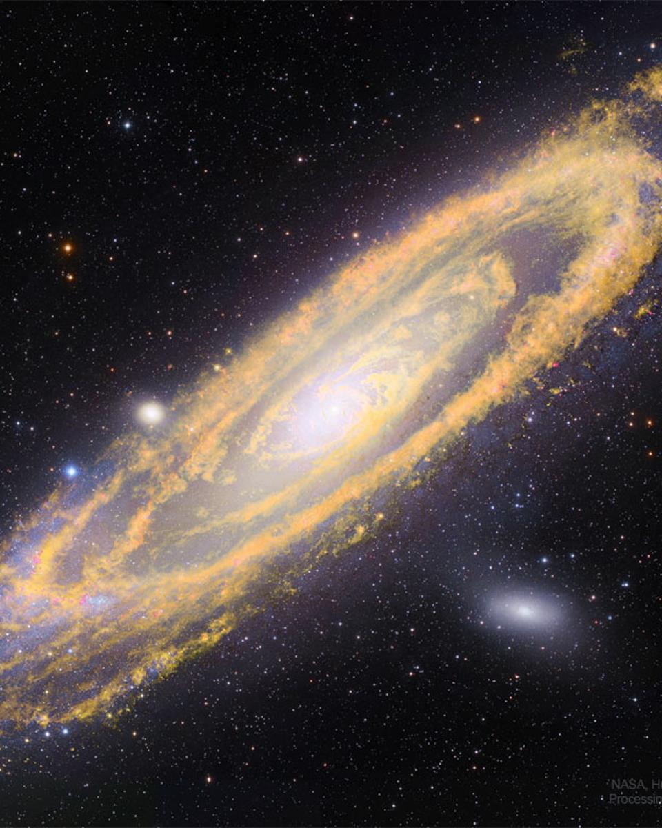 The Once and Future Stars of Andromeda