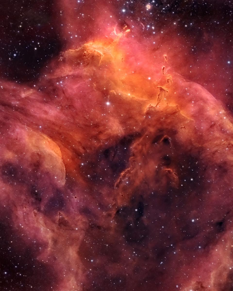 NGC 3572 and the Southern Tadpoles
