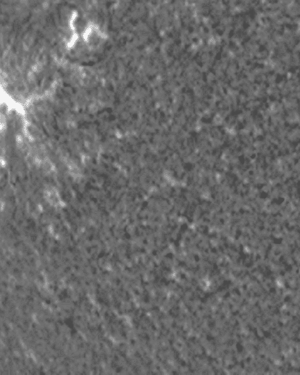 A Large Tsunami Shock Wave on the Sun