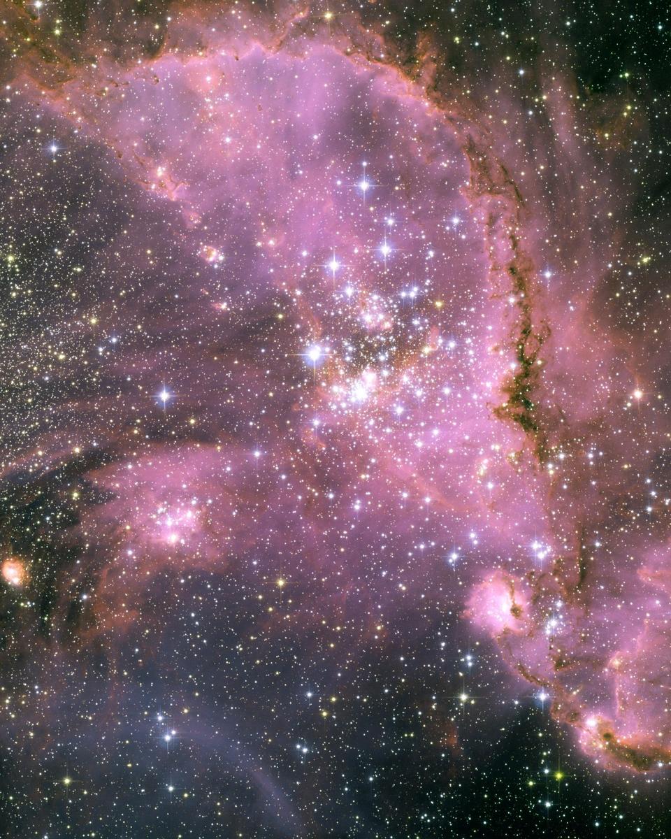 Young Stars of NGC 346