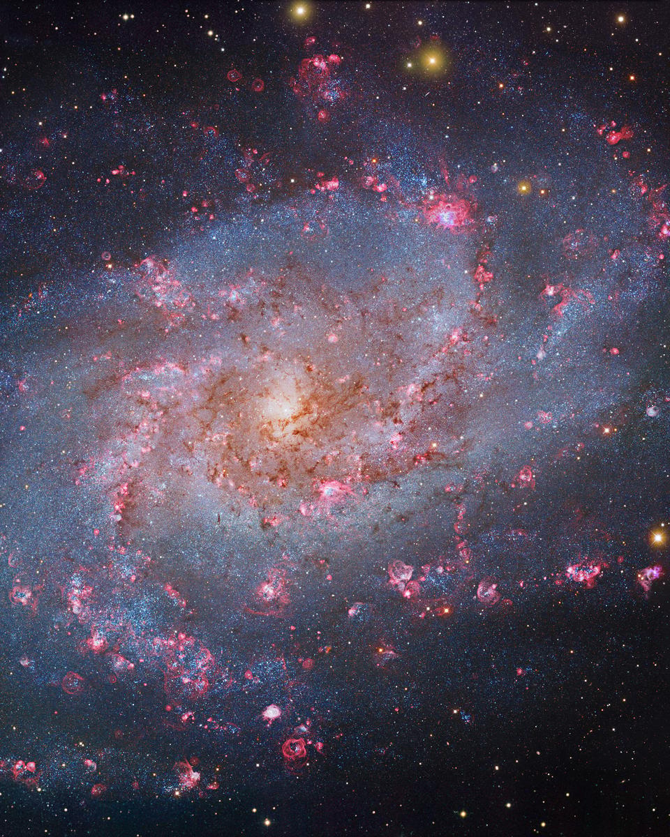 M33: The Triangulum Galaxy