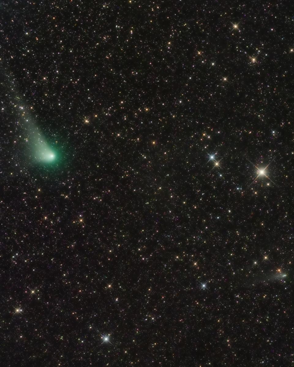 Two Comets in Southern Skies