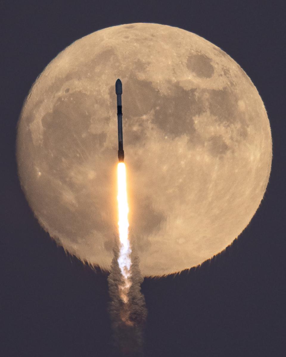 The Falcon and the Hunter's Moon