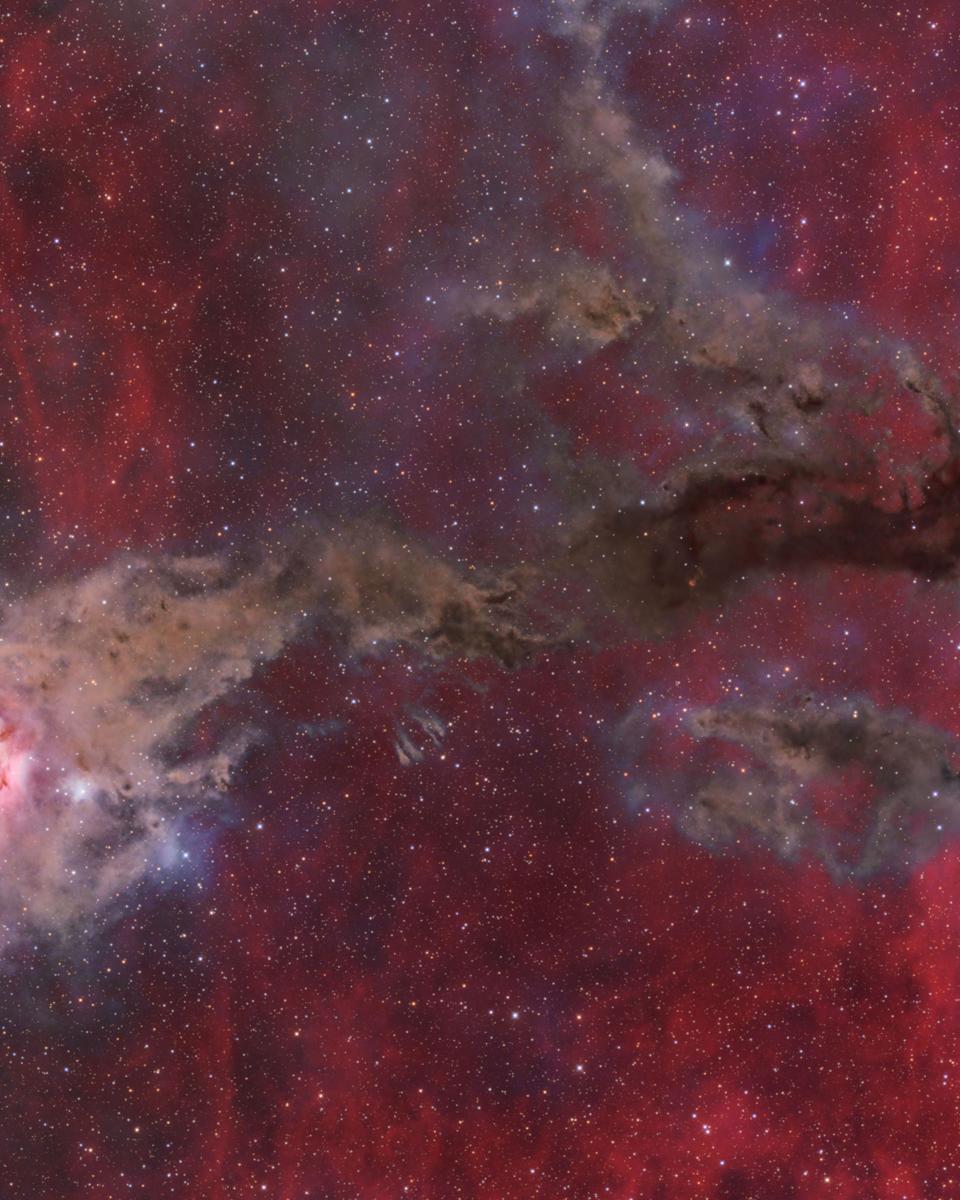Cocoon Nebula Wide Field