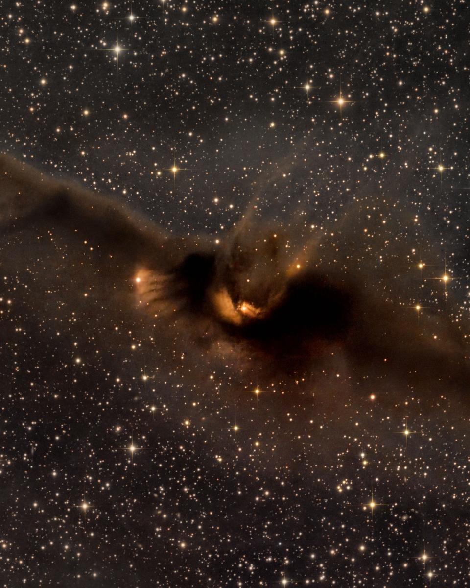 LDN 43: The Cosmic Bat Nebula
