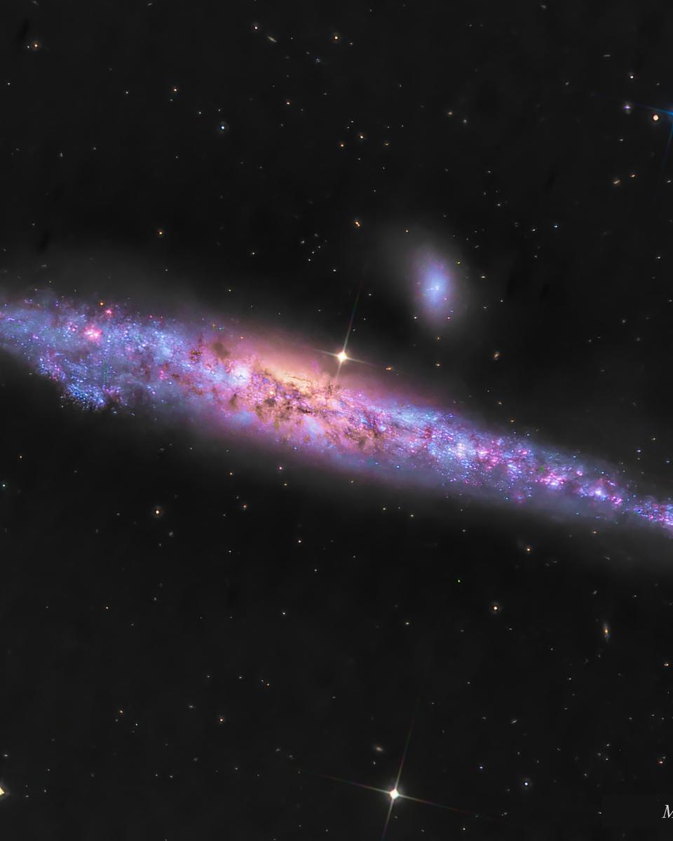 NGC 4631: The Whale Galaxy