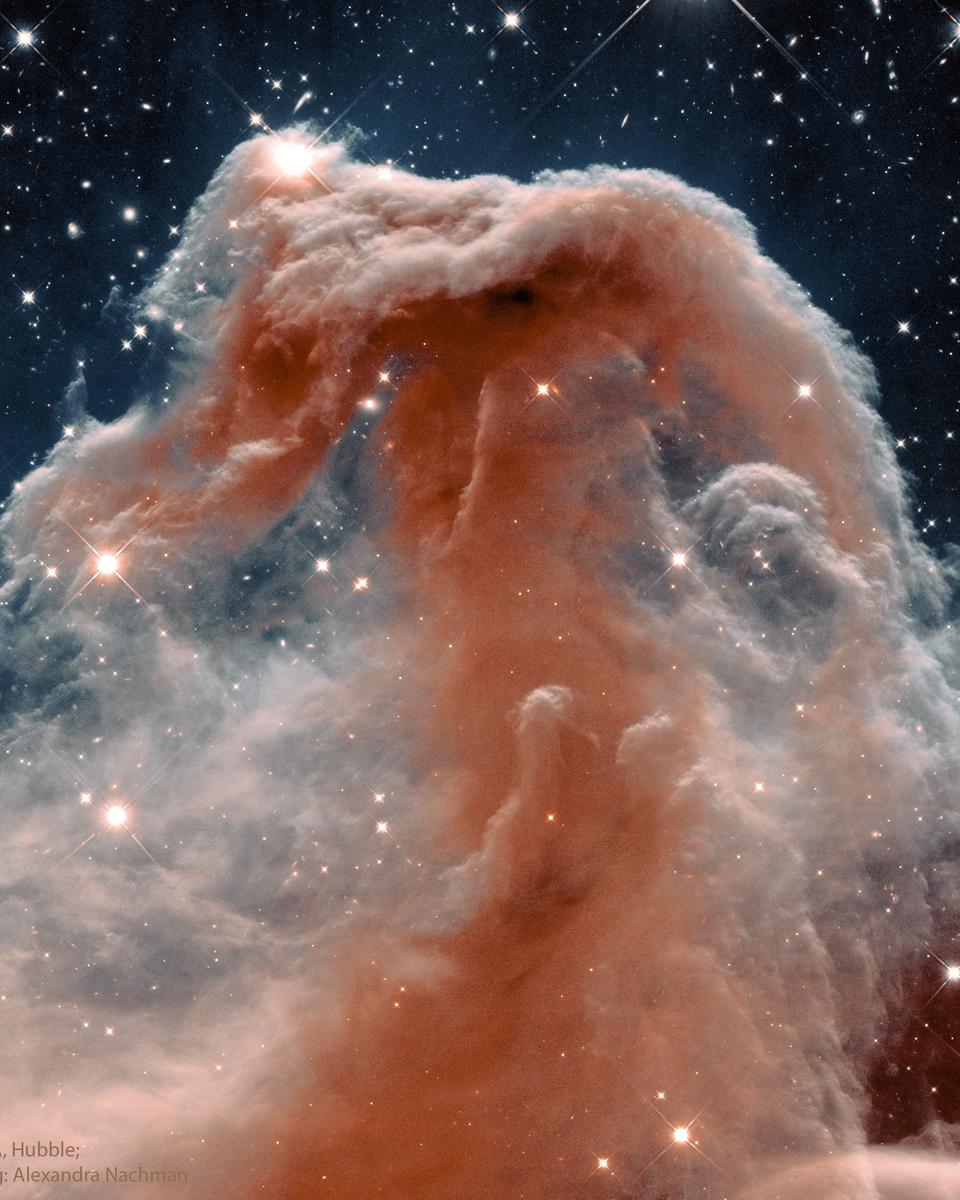 The Horsehead Nebula in Infrared from Hubble