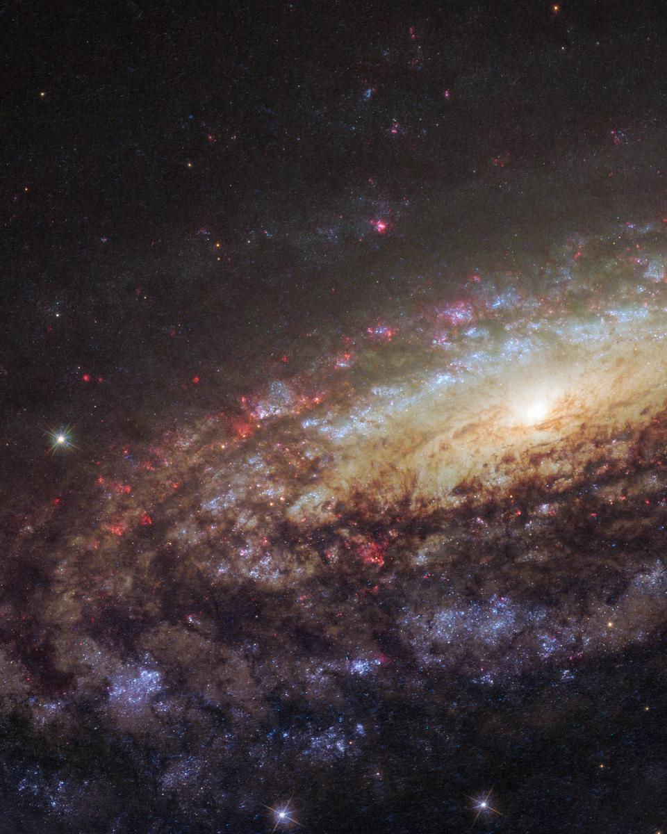 NGC 7331 Close Up