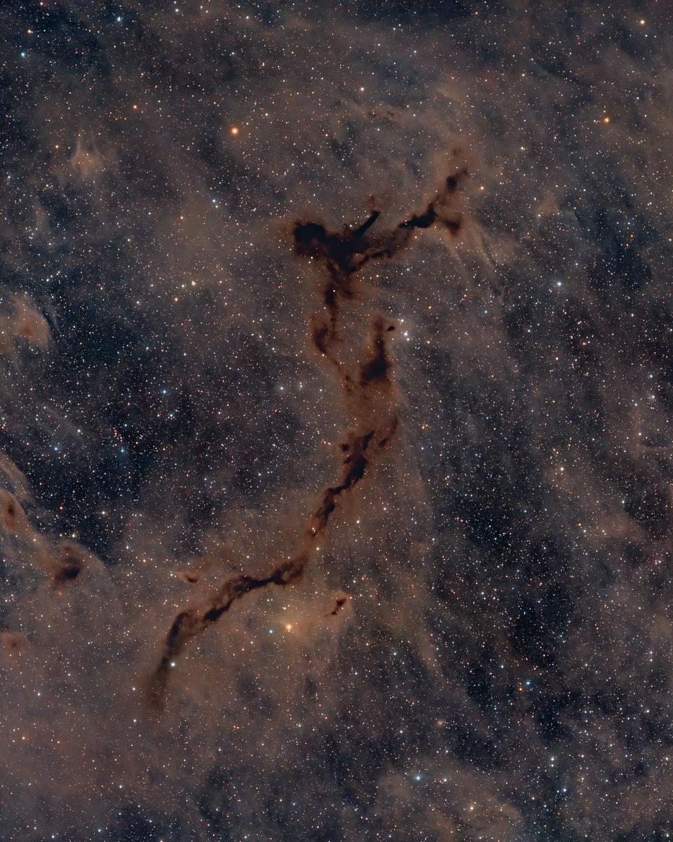 The Dark Seahorse in Cepheus