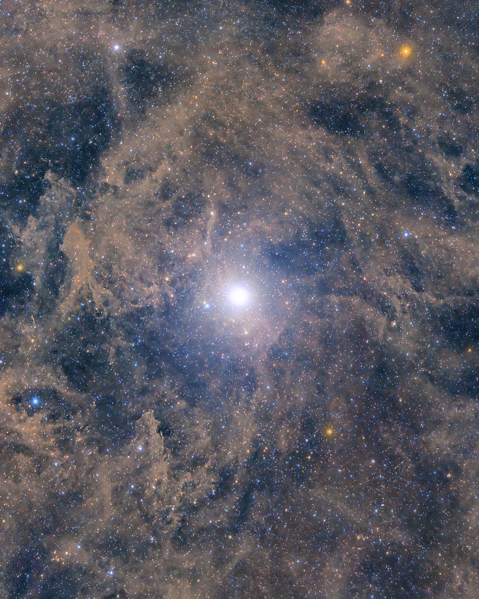 North Star: Polaris and Surrounding Dust