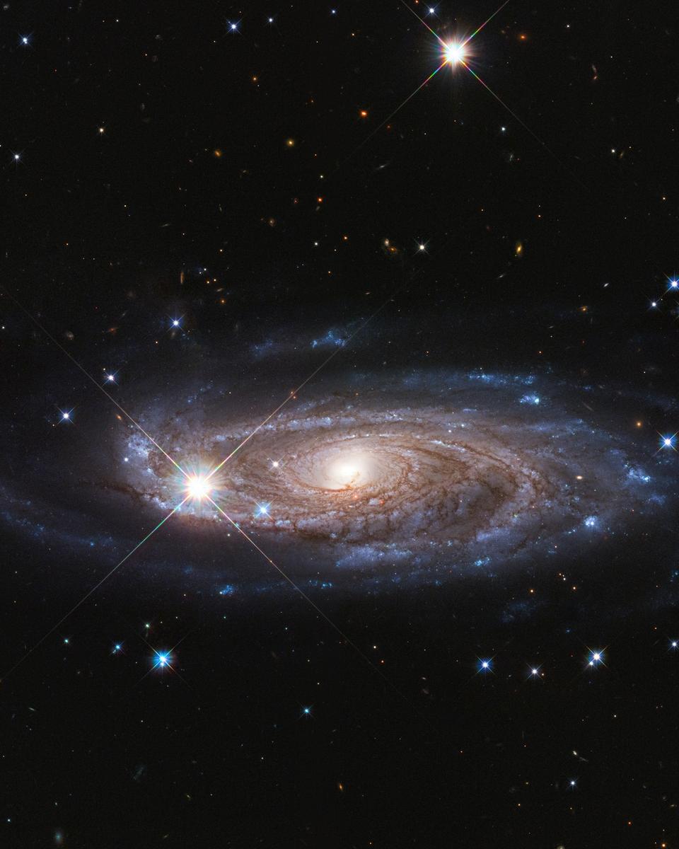 Rubin's Galaxy