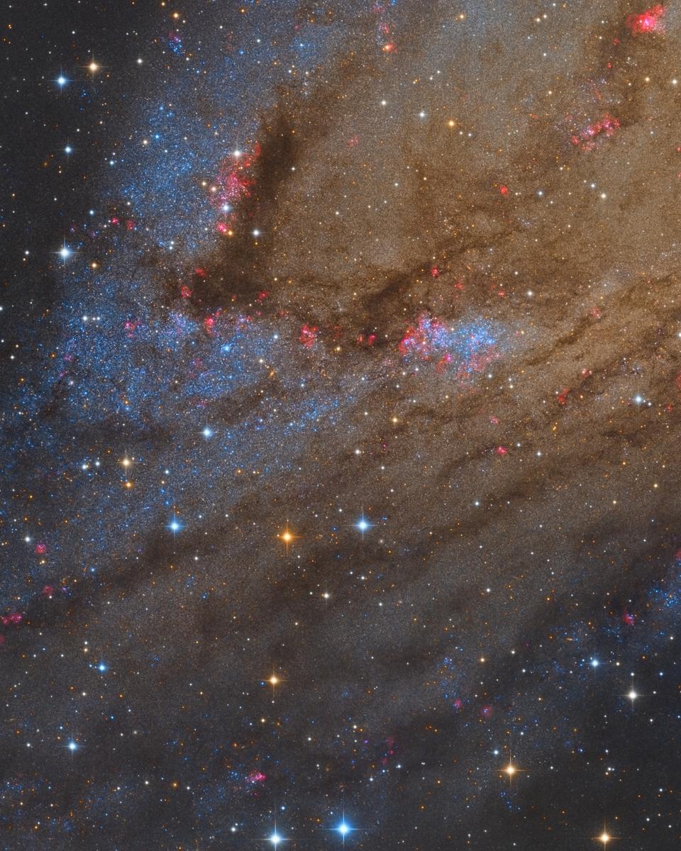 NGC 206 and the Star Clouds of Andromeda