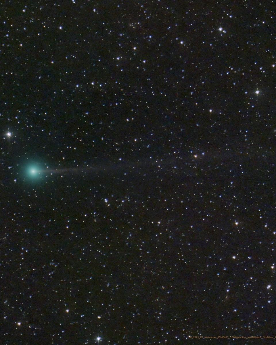 Introducing Comet Nishimura