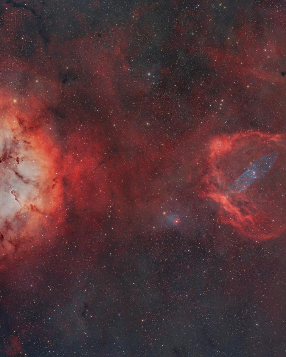 A Cosmic Zoo in Cepheus