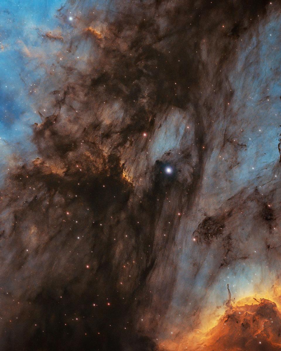The Pelican Nebula in Gas, Dust, and Stars