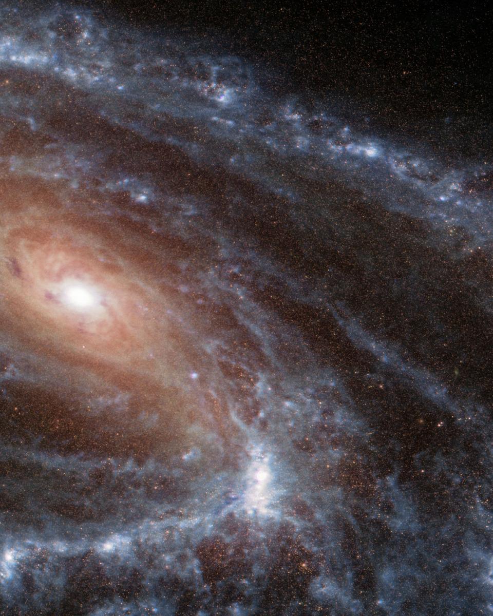 Unusual Spiral Galaxy M66 from Webb