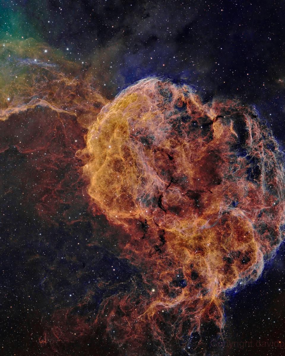 IC 443: The Jellyfish Nebula