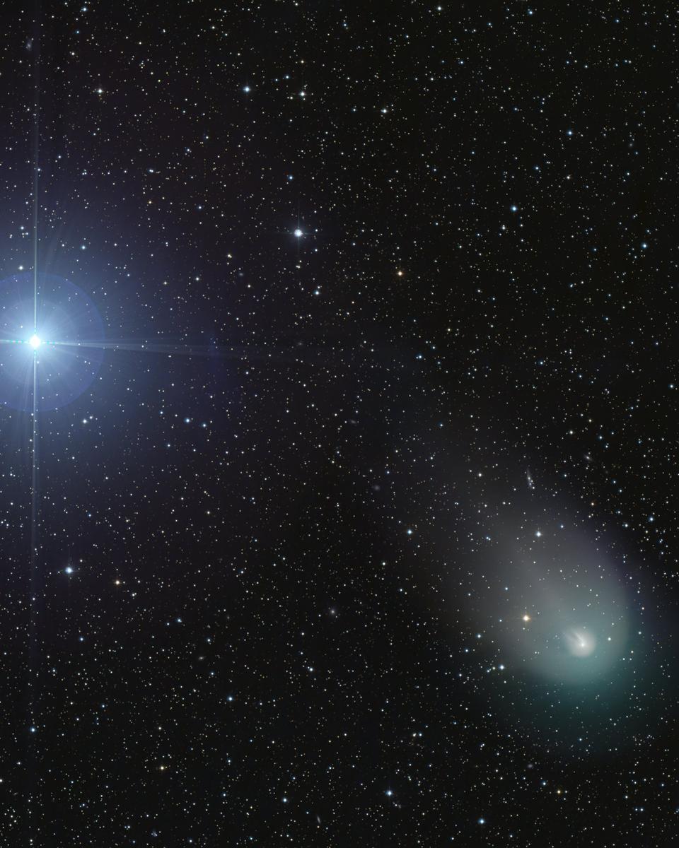 Vega and Comet 12P/Pons-Brooks