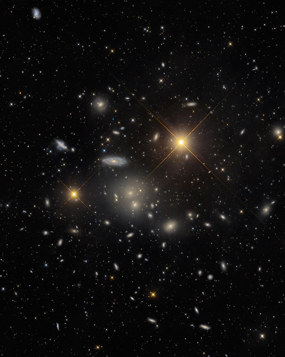 The Hydra Cluster of Galaxies