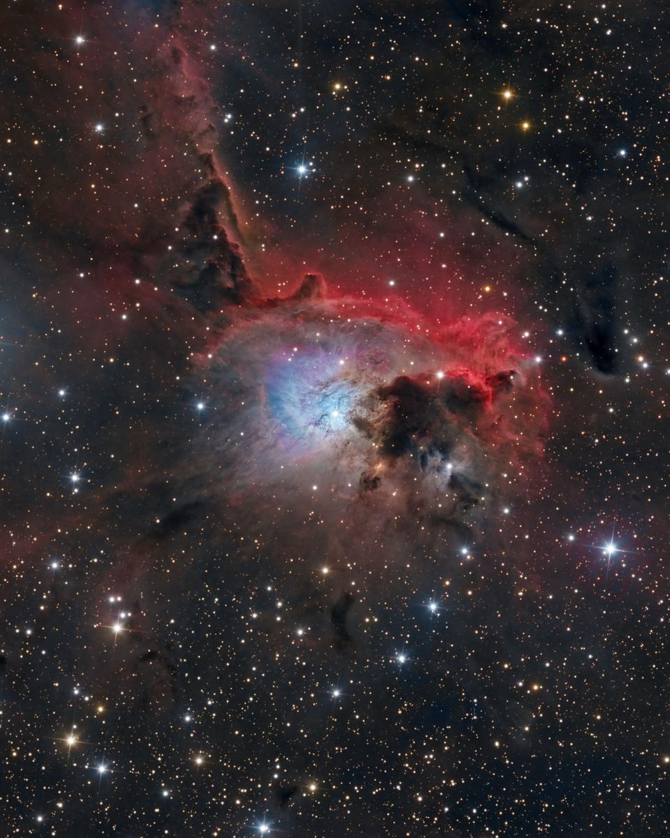 NGC 2626 along the Vela Molecular Ridge