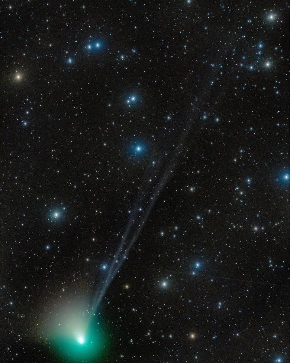 Tails of Comet ZTF
