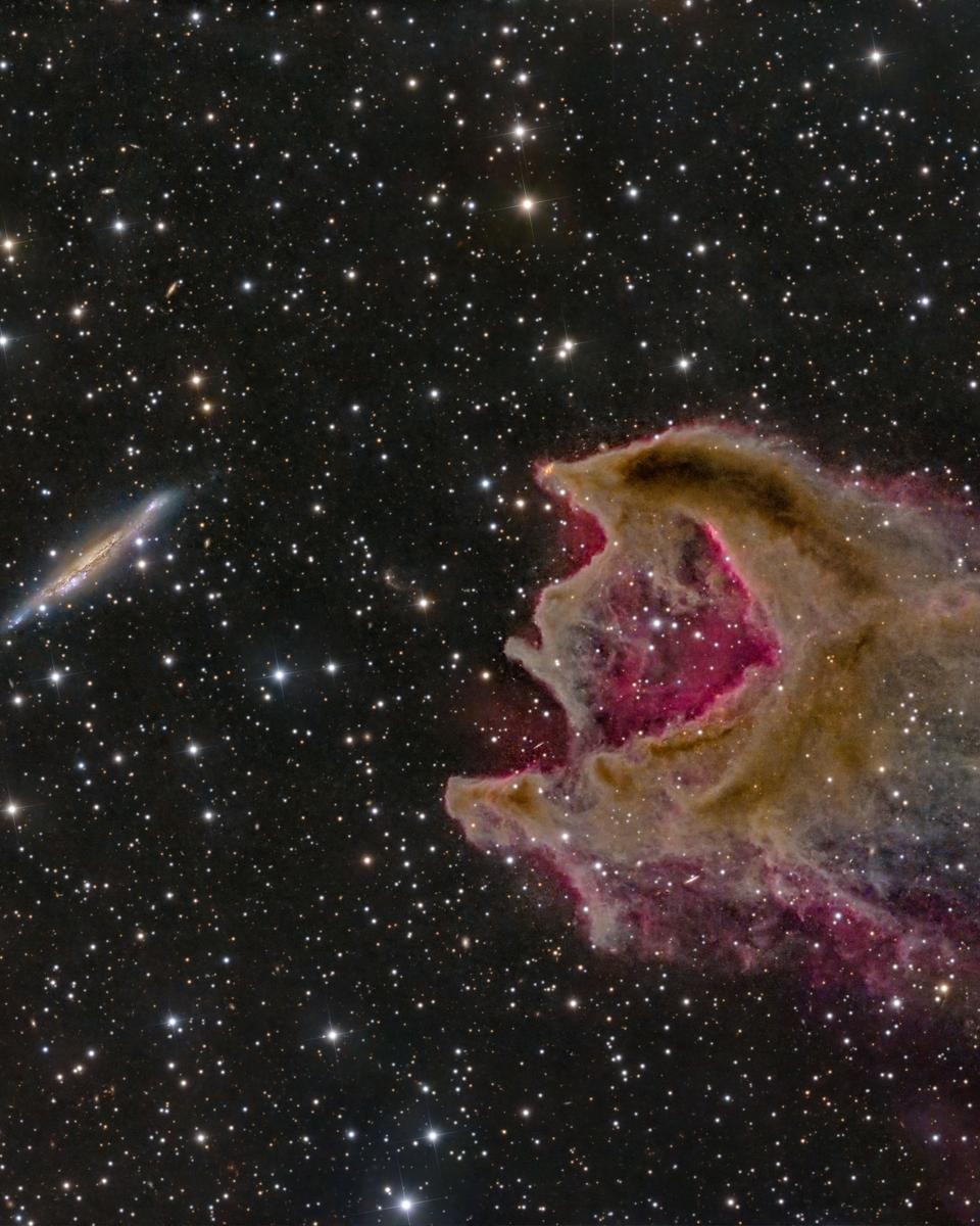 CG4: The Globule and the Galaxy