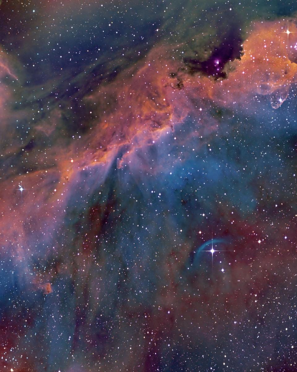 The Seagull Nebula