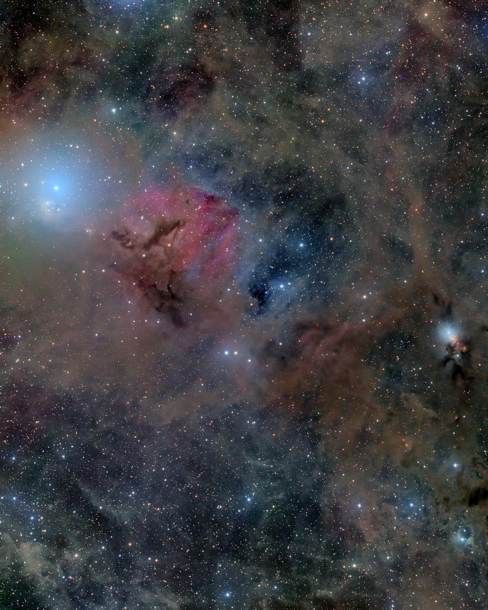 Stardust in Perseus