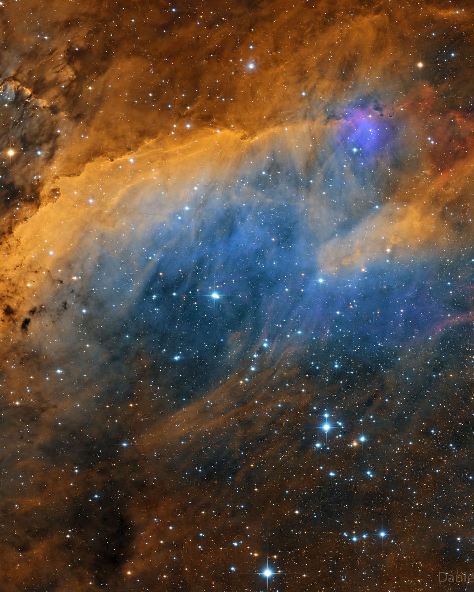 IC 4628: The Prawn Nebula