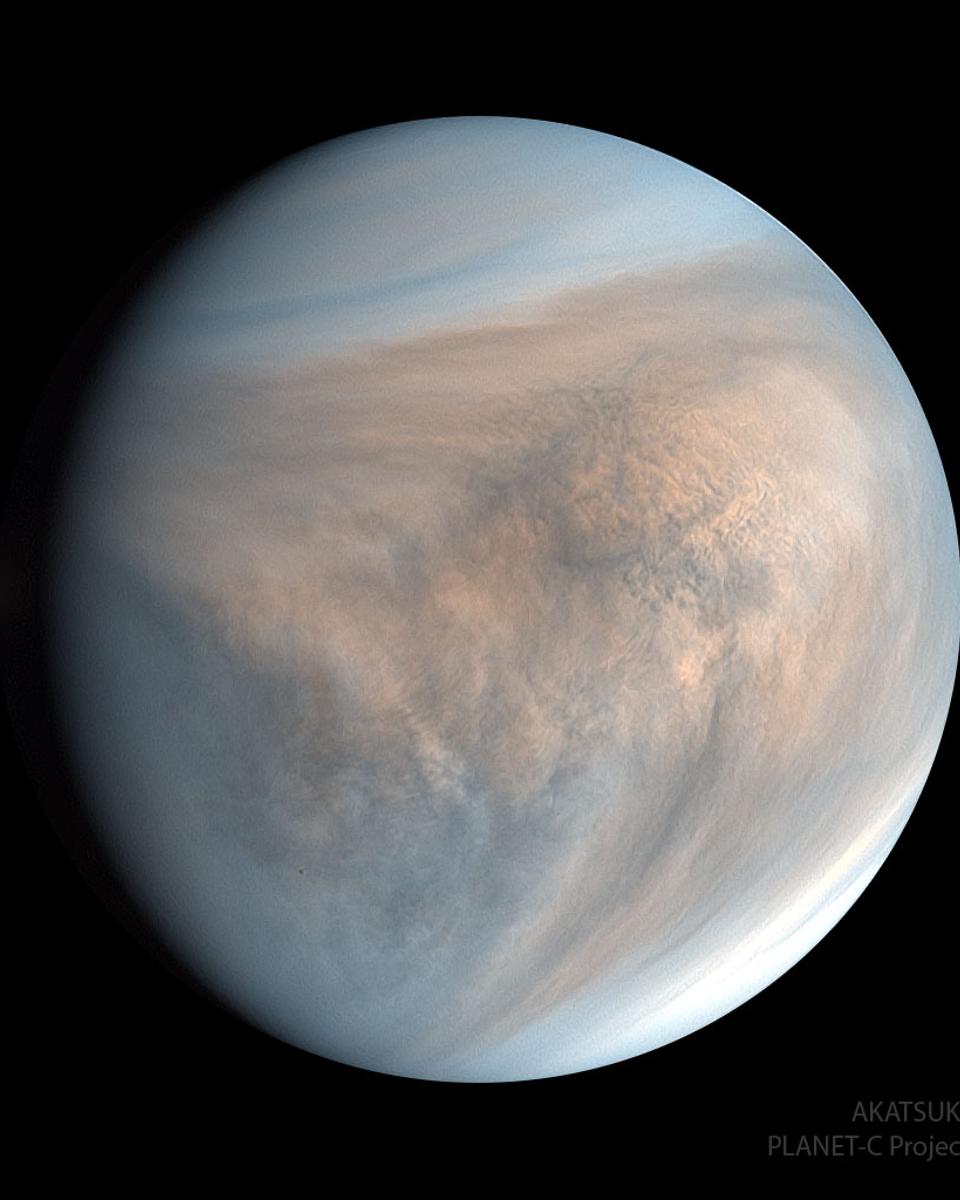 Venus in Ultraviolet from Akatsuki